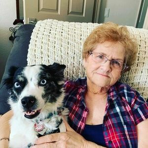 Meet your Posher, Phyllis